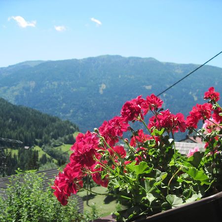 Chalet Catton Two Bedroom Appartement Near Bad Kleinkirchheim Radenthein Bagian luar foto